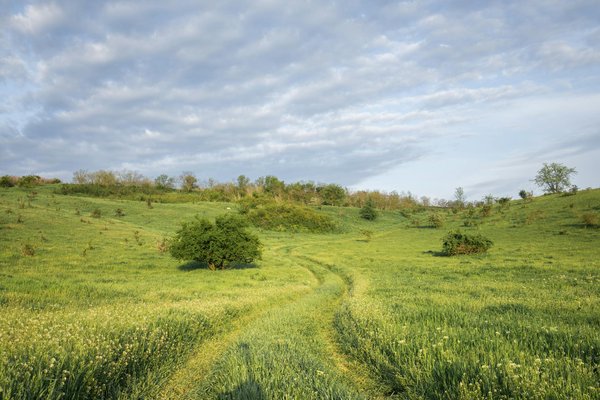 Où découvrir les traditions artisanales des tribus Masaï sans guide?