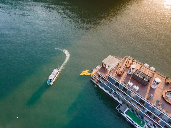 Comment organiser un camping pour observer les manchots en Antarctique?